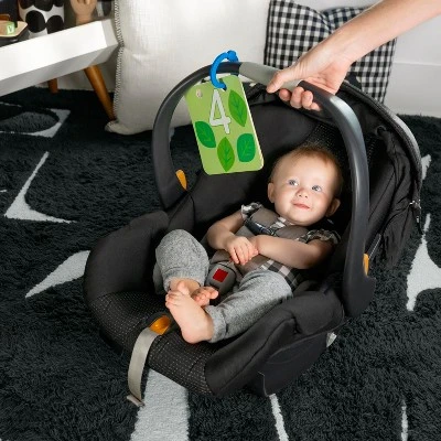 Baby Einstein Discover Garden Tummy Time Baby Playmat And Mirror 3 Baby Einstein Discover Garden Tummy Time Baby Playmat And Mirror - Image 3