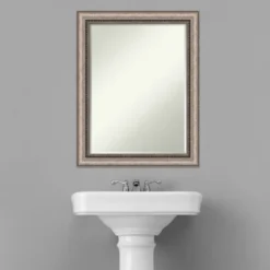 Amanti Art Lyla Ornate Silver Petite Bevel Bathroom Wall Mirror 28.25 X 22.25 In. -Umbra Home Decor Shop GUEST 5d902bdb 02b7 465c 8e6e 96b86e71b27a
