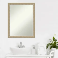 Amanti Art Paris Champagne Petite Bevel Bathroom Wall Mirror 26 X 20 In. -Umbra Home Decor Shop GUEST c1cbdb87 f504 4437 9459 ec32766934c6