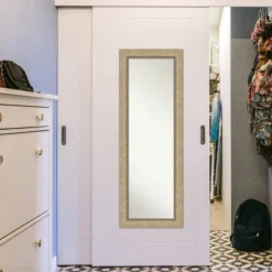 19" X 53" Non-Beveled Astor Champagne Full Length On The Door Mirror - Amanti Art -Umbra Home Decor Shop GUEST ccc1136d 7890 4f8f 94ca 5c5549442de7