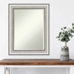 23" X 29" Salon Framed Wall Mirror Silver - Amanti Art -Umbra Home Decor Shop GUEST d2c3a006 d897 4c19 b77e ac0d35b3feea